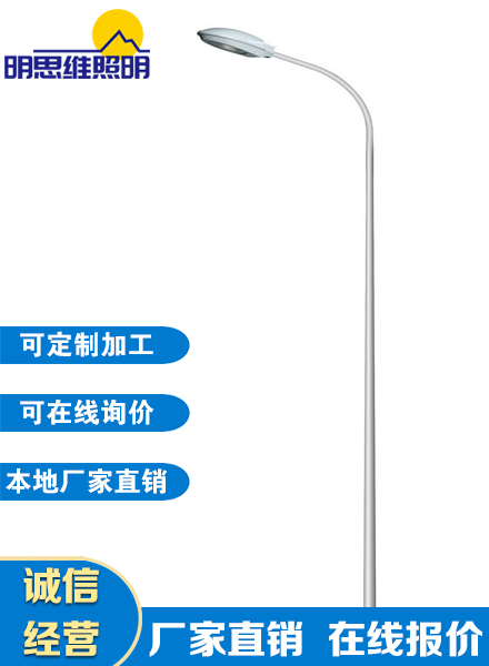 自彎臂系列道路燈