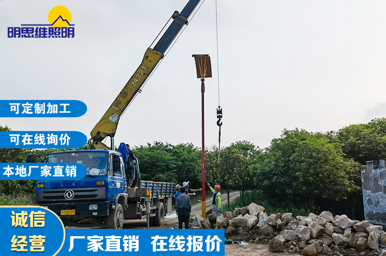 重慶農(nóng)家樂(lè)路燈桿工程案列
