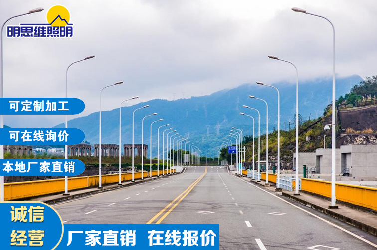 大學(xué)城道路兩旁燈桿建設(shè)項(xiàng)目
