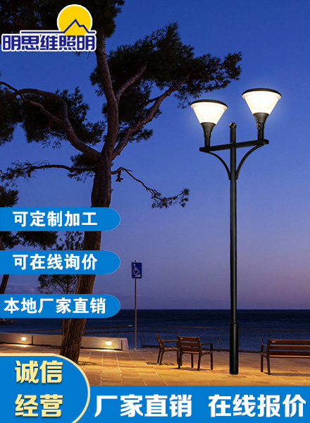 道路庭院燈