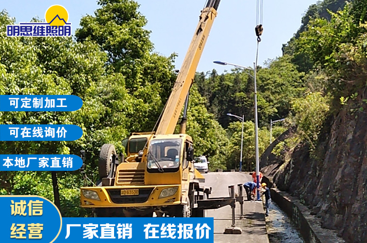 重慶道路路燈桿現(xiàn)場安裝案列