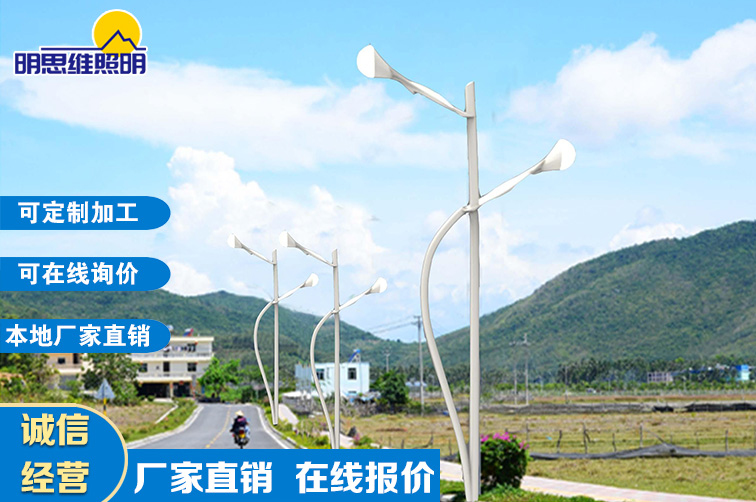 云南鄉(xiāng)村道路燈建設工程