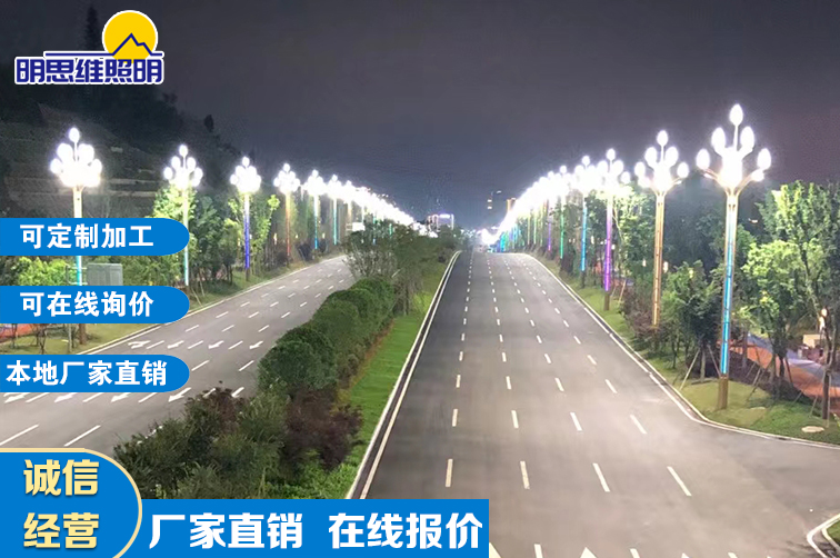 重慶道路兩旁玉蘭燈工程