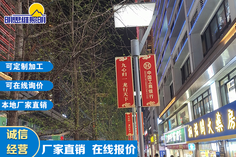 重慶商業(yè)區(qū)路燈桿工程
