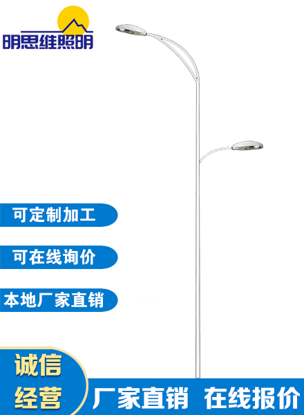 雙頭系列道路燈