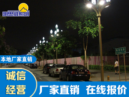 鵬程四路6米玉蘭燈造型