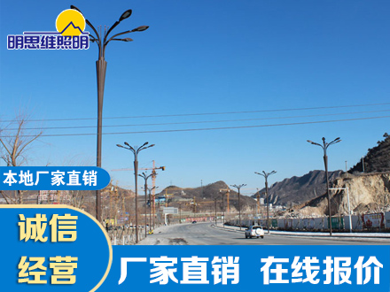 李家村拉花景觀燈項目