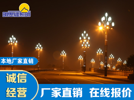 工業(yè)園區(qū)八叉九火玉蘭燈項目