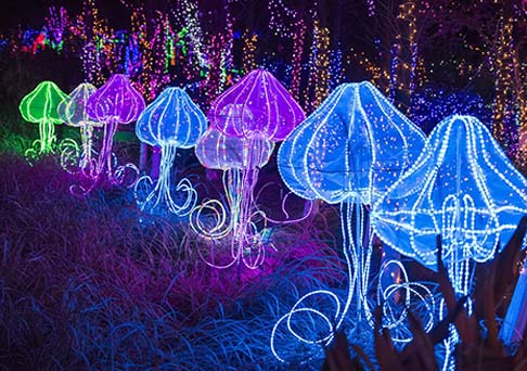 中山瀚沃：打造城市夜景，美化城市名片-明思維照明
