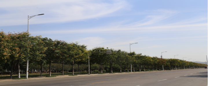 照明合同能源管理模式推廣，需注重LED路燈技術(shù)研發(fā)
