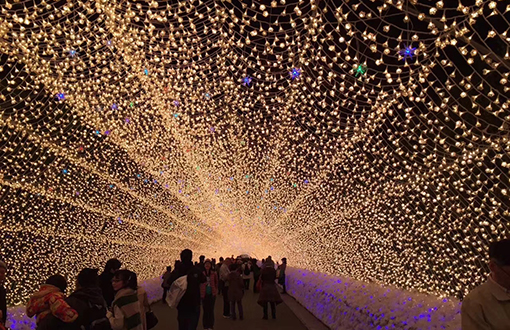 變幻多彩的城市燈光，與眾不同的夜間景象-明思維照明