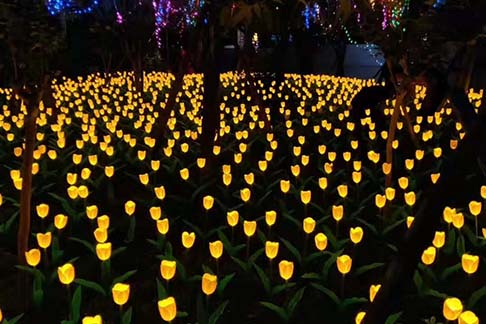 中山瀚沃燈飾助力打造公園夜間美景-明思維照明