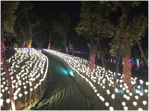 中山市瀚沃燈飾: 廣西園博園亮化工程順利完工-明思維照明
