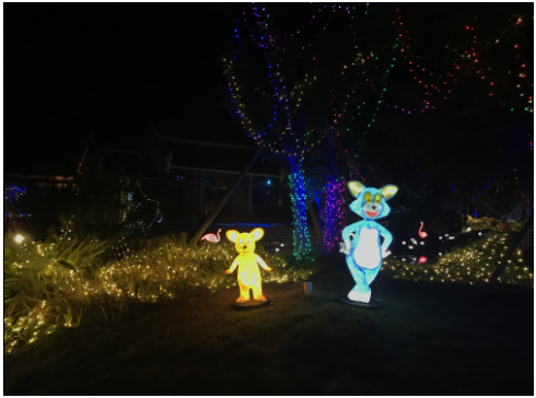 中山市瀚沃燈飾: 廣西園博園亮化工程順利完工-明思維照明