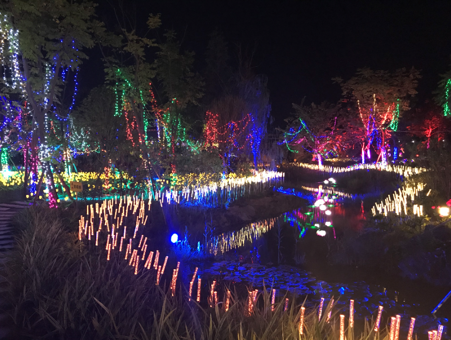 瀚沃燈飾助力成都蘆葦燈點(diǎn)亮綠道城市公園-明思維照明
