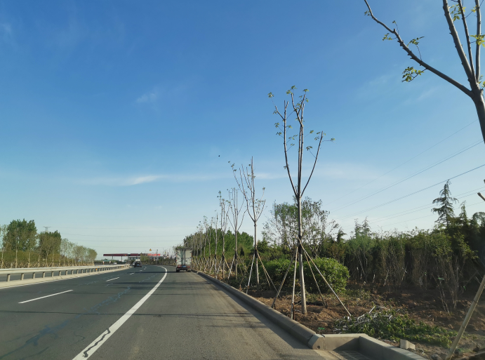 企業(yè)為齊國(guó)故都再筑綠色屏障，多措并舉為臨淄增彩延綠