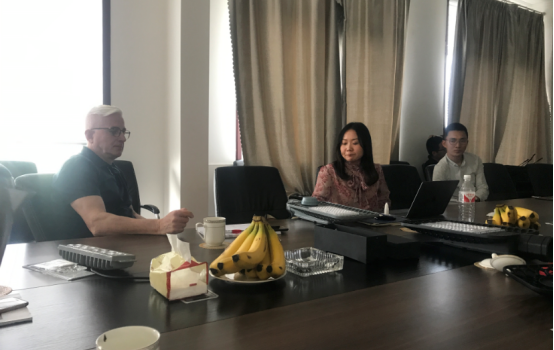 法國代理商來LED路燈生產(chǎn)廠家光電考察