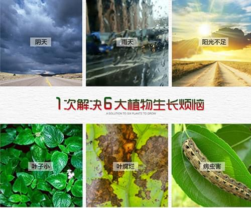 植物生長燈優(yōu)勢