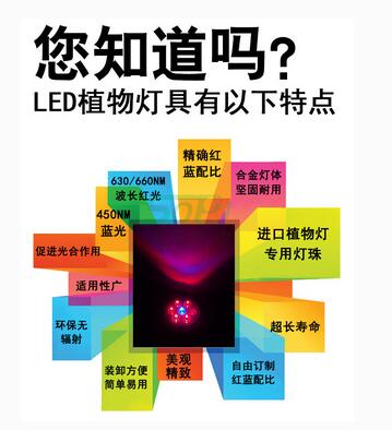 led植物